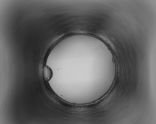 X0000094780533200711160852