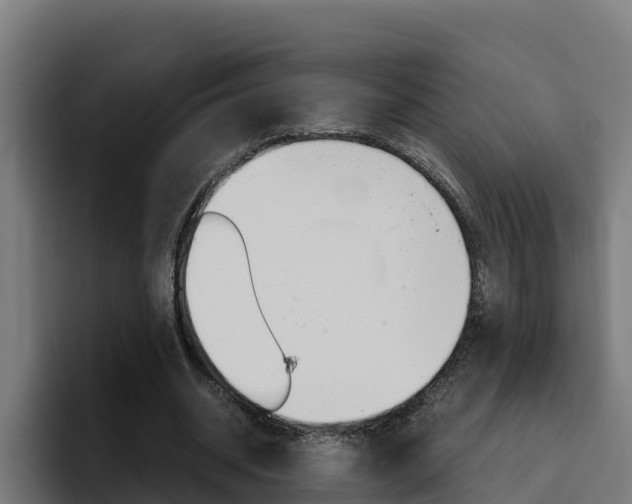 X0000094780534200711160852