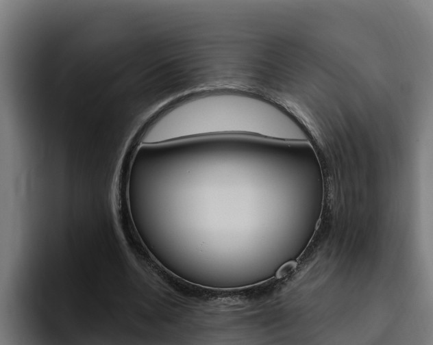 X0000094780536200711160852