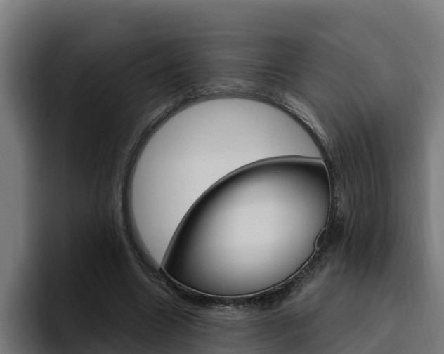 X0000094780538200711160852