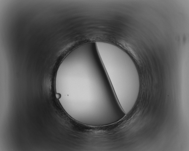 X0000094780539200711160852