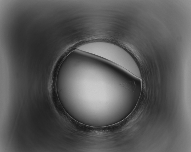 X0000094780540200711160852