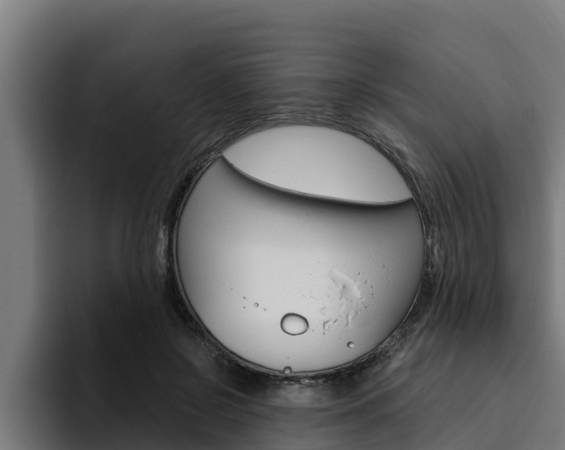 X0000094780550200711160852