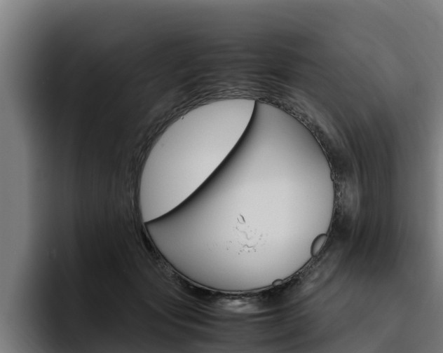 X0000094780557200711160852