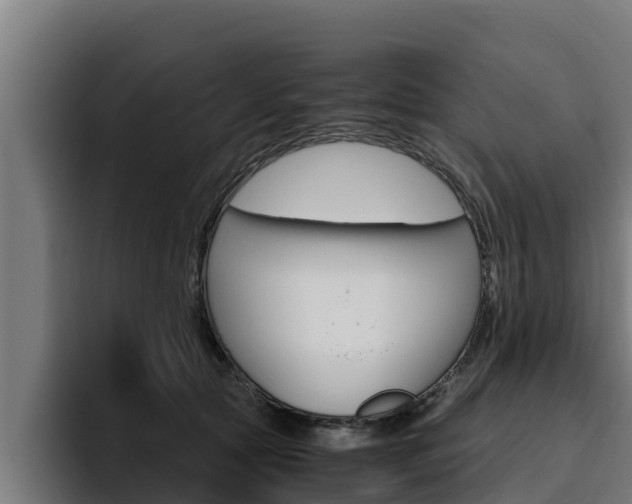 X0000094780561200711160853