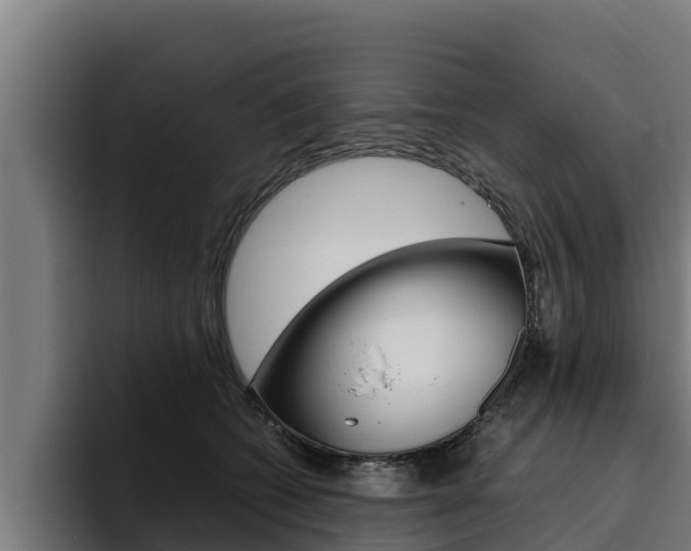 X0000094780562200711160853