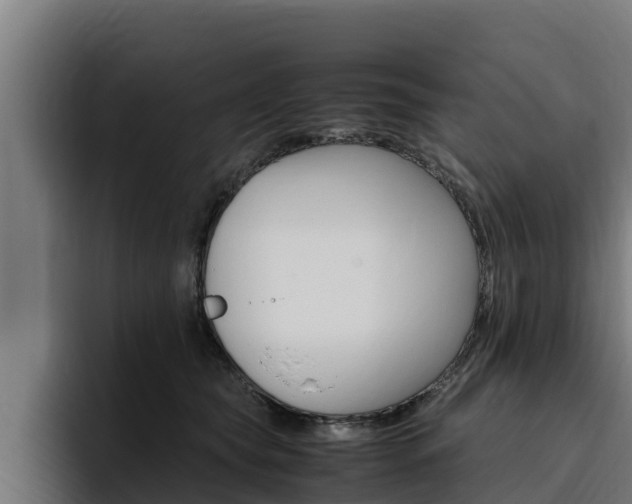 X0000094780565200711160853