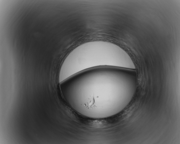 X0000094780566200711160853