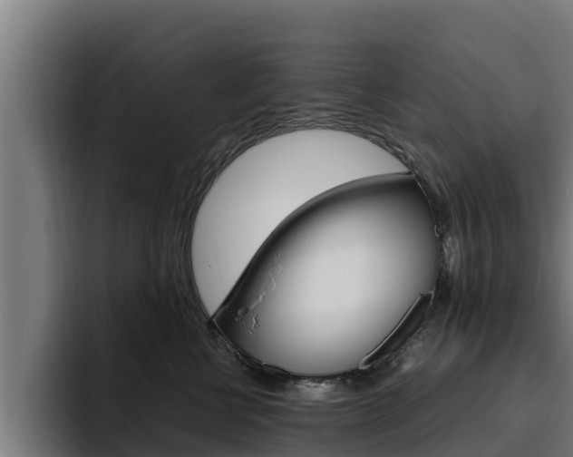 X0000094780570200711160853