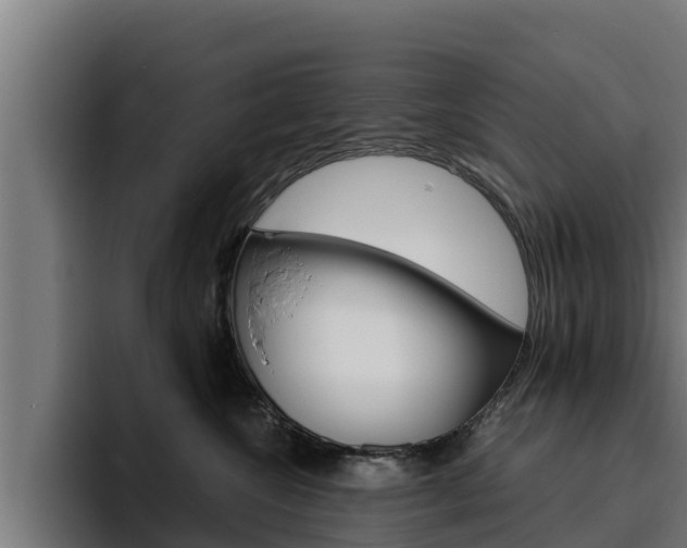 X0000094780572200711160853