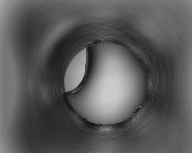 X0000094780574200711160853