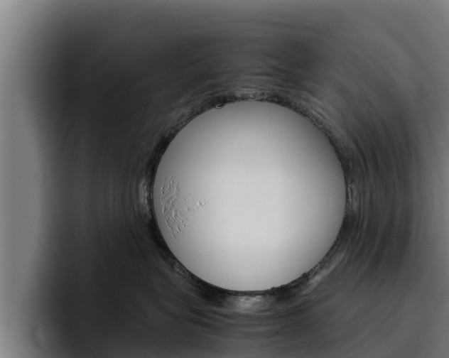 X0000094780575200711160853