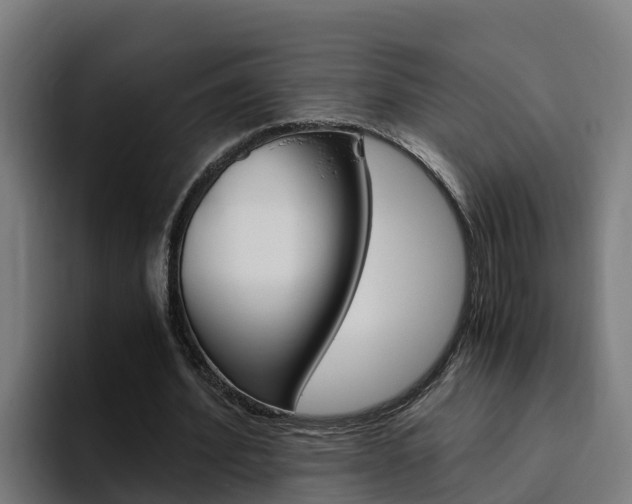 X0000094780580200711160852
