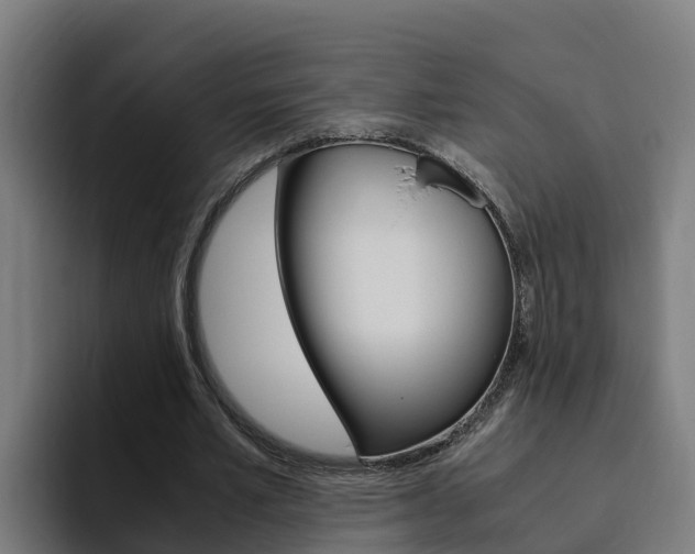 X0000094780581200711160852