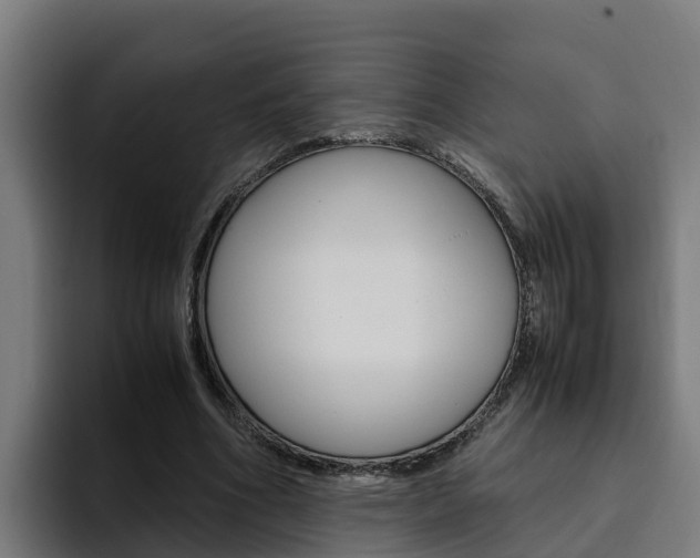 X0000094780586200711160852