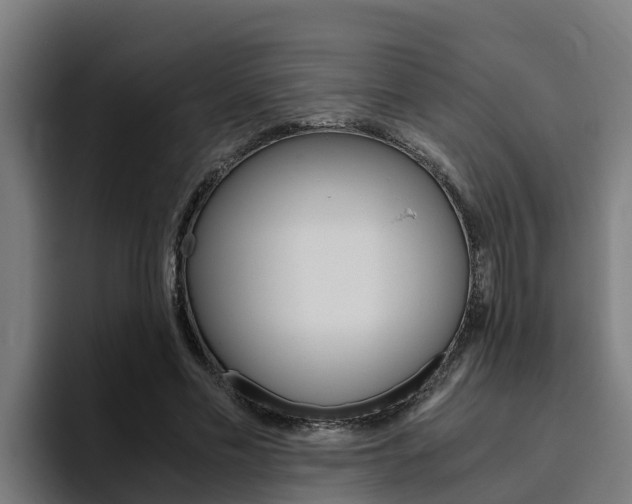 X0000094780589200711160852