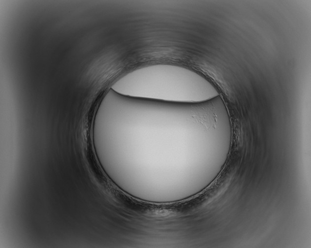 X0000094780590200711160852