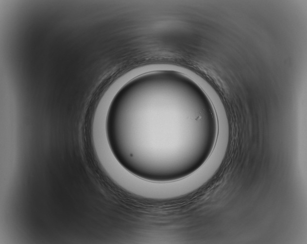X0000094780591200711160852