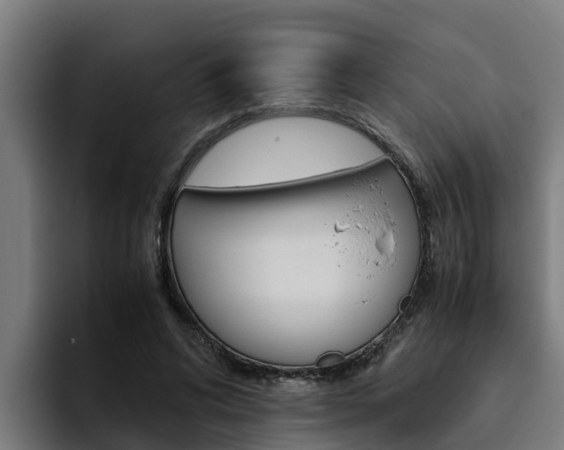 X0000094780592200711160852