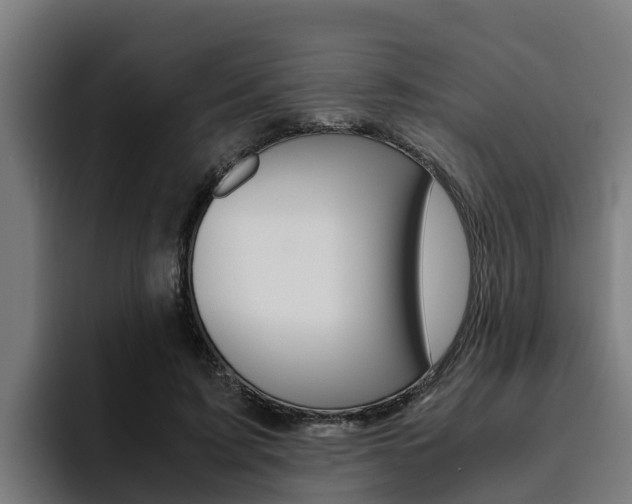 X0000094780595200711160852
