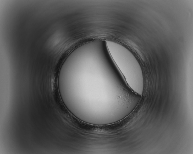 X0000094780596200711160852