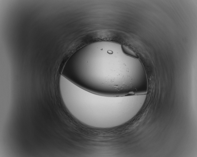 X0000094780597200711160852