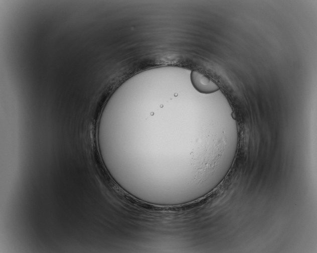 X0000094780598200711160852