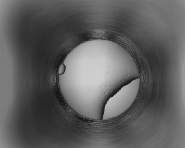 X0000094780602200711160852