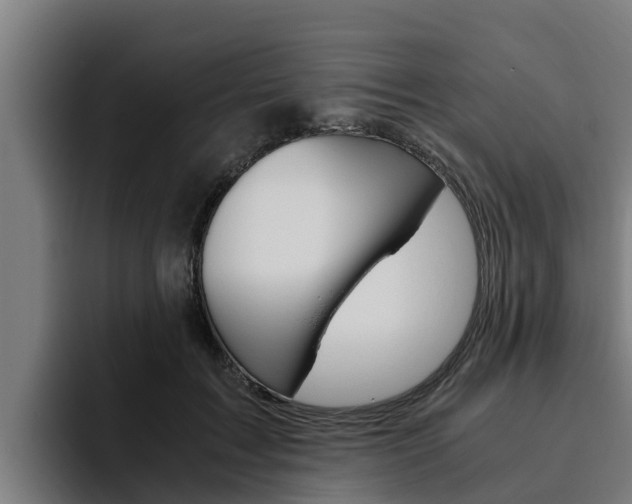 X0000094780603200711160852