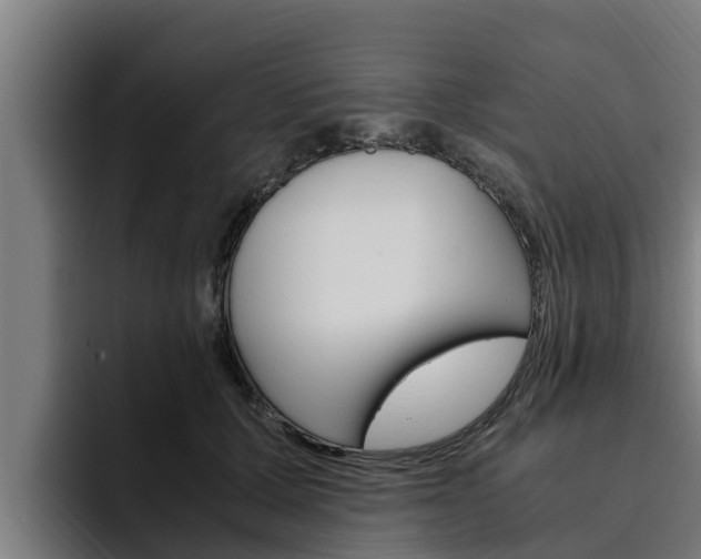 X0000094780607200711160852