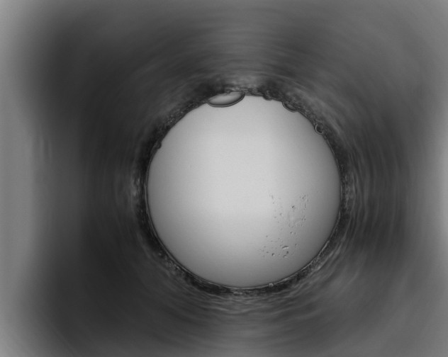 X0000094780608200711160852