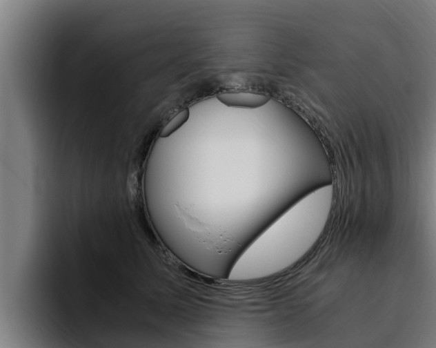 X0000094780611200711160851