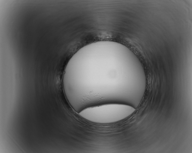 X0000094780614200711160851