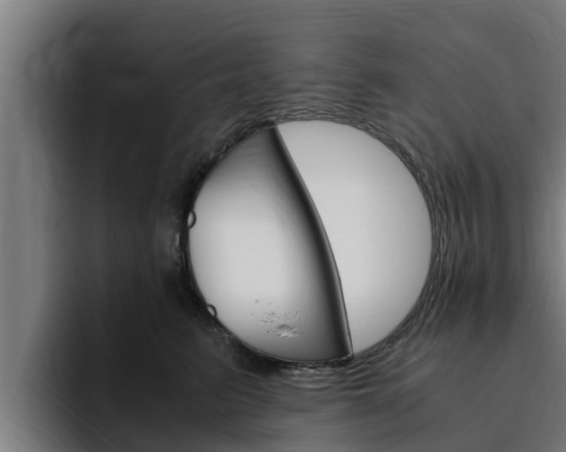 X0000094780615200711160851