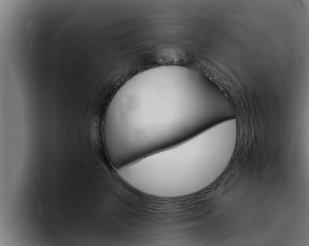 X0000094780616200711160851