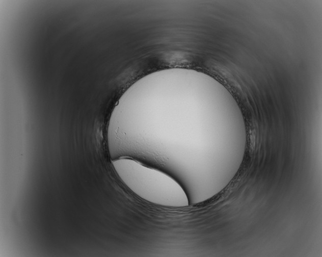 X0000094780618200711160851
