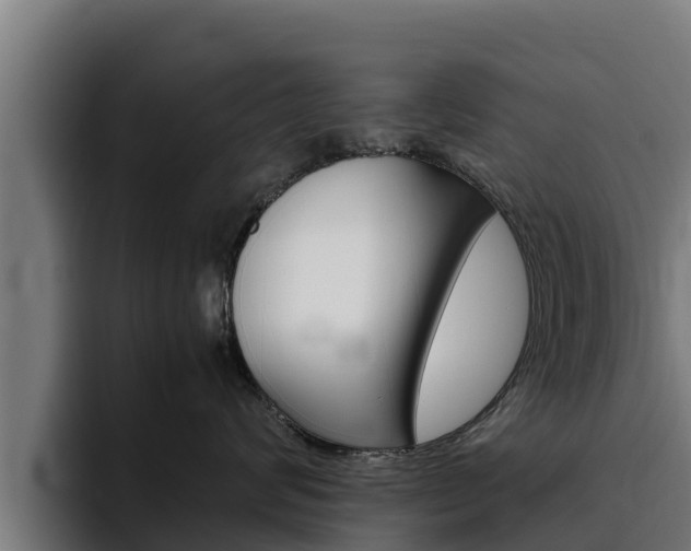 X0000094780624200711160851