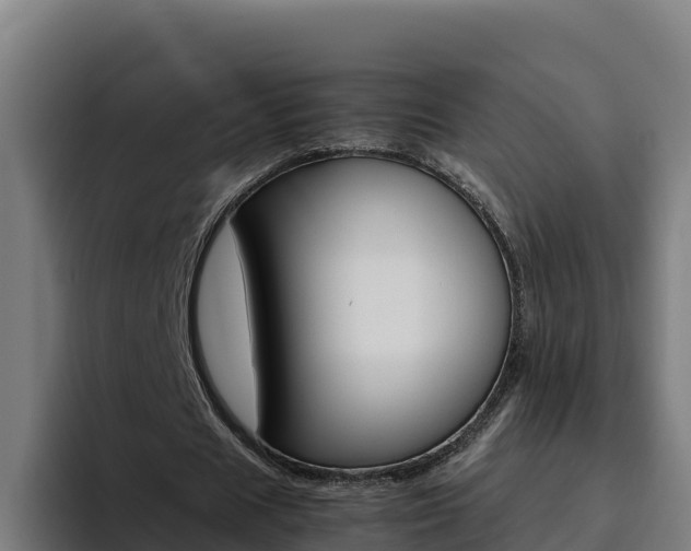 X0000094780625200711160851