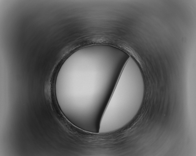 X0000094780626200711160851