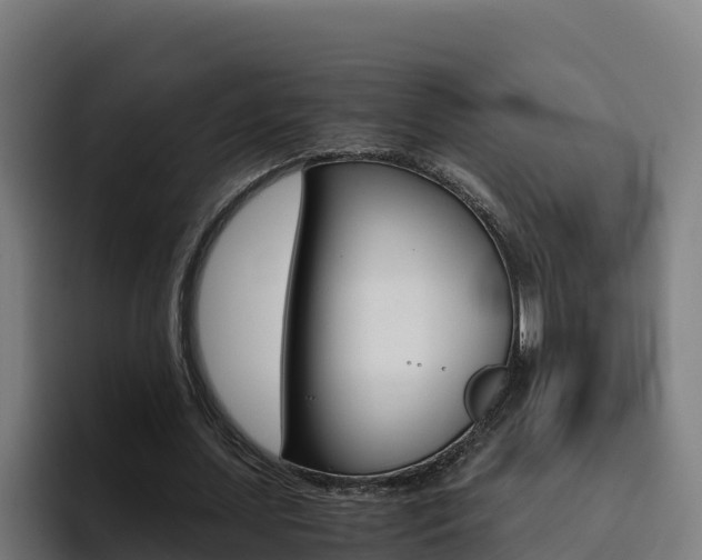 X0000094780627200711160851