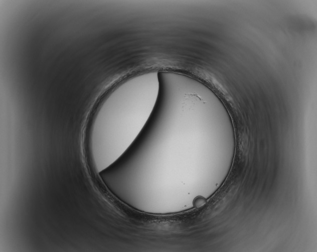 X0000094780629200711160851