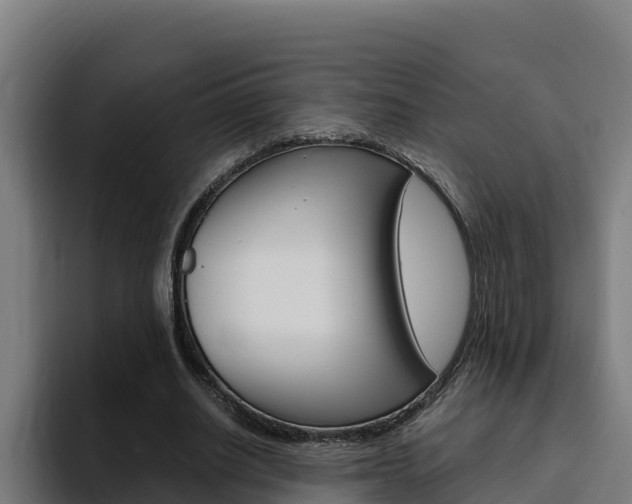 X0000094780630200711160851