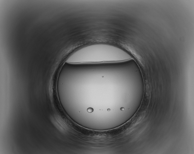 X0000094780631200711160851