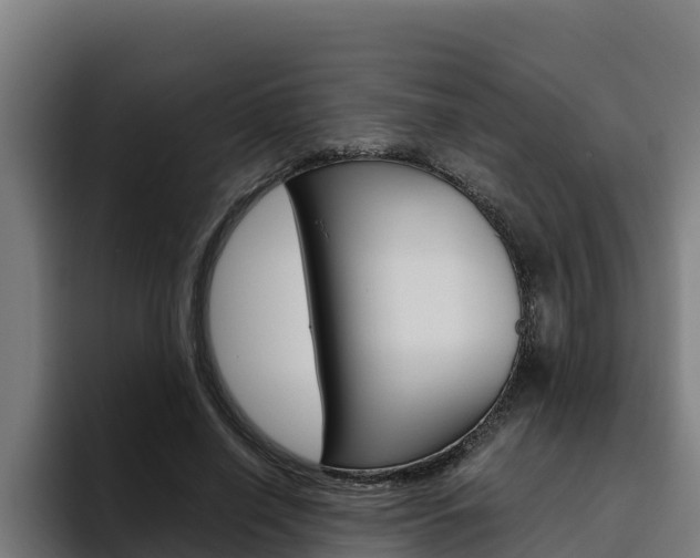 X0000094780638200711160851