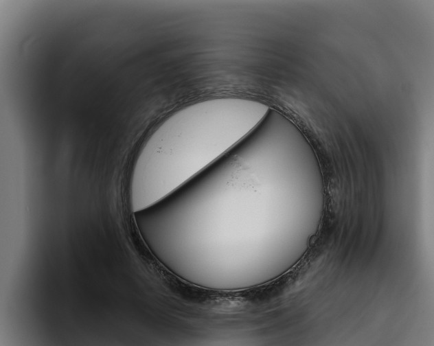 X0000094780642200711160851