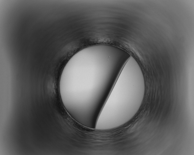 X0000094780643200711160851