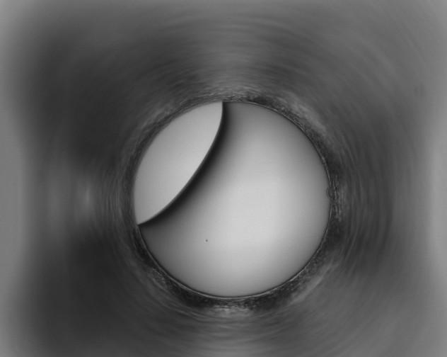 X0000094780644200711160851