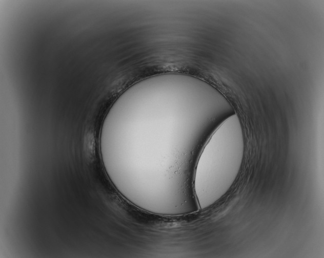 X0000094780646200711160851