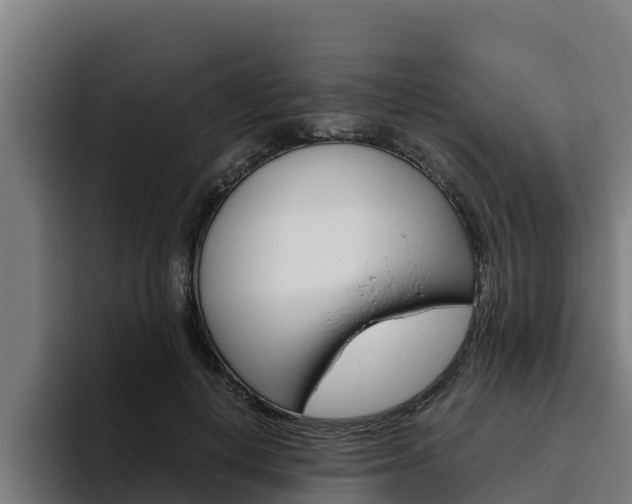 X0000094780648200711160851