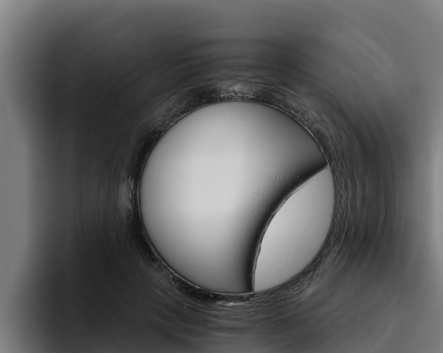 X0000094780649200711160851